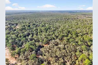 [Address not provided], Altoona, FL 32702 - Photo 48