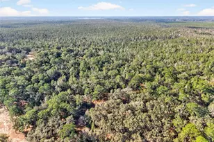 [Address not provided], Altoona, FL 32702 - Photo 48