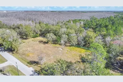 1426 Sierra Pines Boulevard, Lutz, FL 33558 - Photo 10