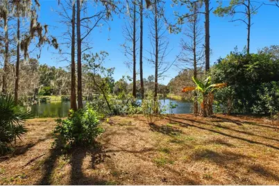 6219 Gannetdale Drive, Lithia, FL 33547 - Photo 42