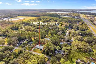 1002 Pine Tree Dr, Eustis, FL 32726 - Photo 56