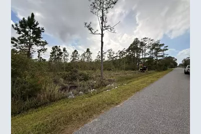 0 Lincoln Road, Saint Cloud, FL 34773 - Photo 6
