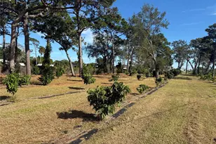 4106 N US Hwy 1, Melbourne, FL 32935 - Photo 24