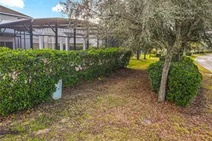 4764 Coppola Dr, Mount Dora, FL 32757 - Photo 80