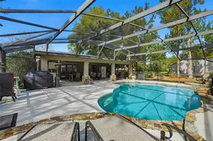 31800 Orange St, Sorrento, FL 32776 - Photo 34