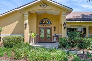 32133 Wolf Branch Ln, Sorrento, FL 32776 - Photo 20