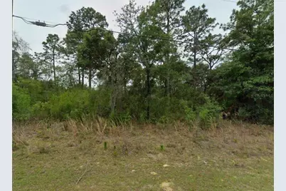 2338 W Riley Drive, Citrus Springs, FL 34434 - Photo 1