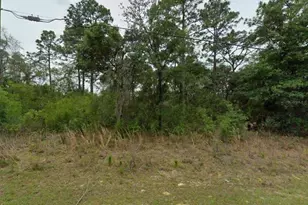 2338 W Riley Dr, Citrus Springs, FL 34434 - Photo 1