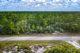 3412 Bluebird Ave, Lake Placid, FL 33852 - Photo 1