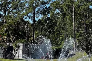 4251 Pinebark Ave, Orlando, FL 32811 - Photo 10