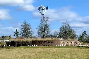 33325 Binding Ties Ln, Wesley Chapel, FL 33545 - Photo 2