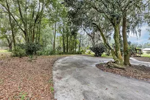 157 State Road 20, Palatka, FL 32177 - Photo 8