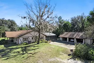 301 Shady Woods Rd, Geneva, FL 32732 - Photo 30