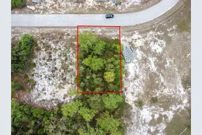 1315 Homosassa Court, Kissimmee, FL 34759 - Photo 6