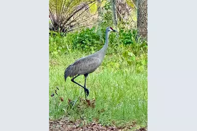 6037 Lake Erie Road, Groveland, FL 34736 - Photo 52