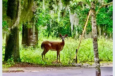 6037 Lake Erie Road, Groveland, FL 34736 - Photo 48