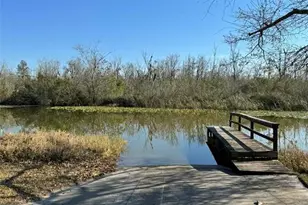 26625 Bimini Dr, Tavares, FL 32778 - Photo 28