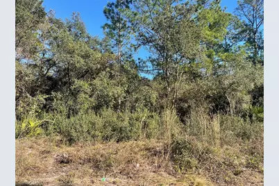 Rose Bud Drive, Deland, FL 32720 - Photo 2