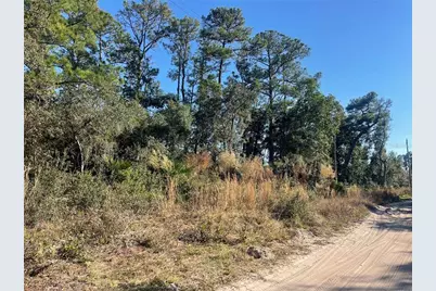 Rose Bud Drive, Deland, FL 32720 - Photo 1