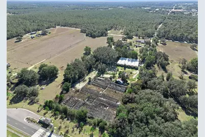 1909 Haas Road, Apopka, FL 32712 - Photo 10