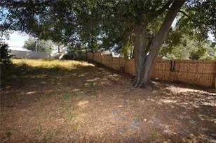 3641 Westland Ct, Orlando, FL 32818 - Photo 4