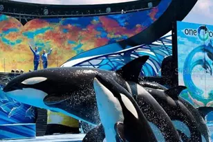 515 5 Daniels Ave, Orlando, FL 32801 - Photo 32