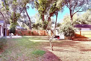 3909 Lake Forest St, Mount Dora, FL 32757 - Photo 28