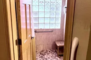 3909 Lake Forest St, Mount Dora, FL 32757 - Photo 16