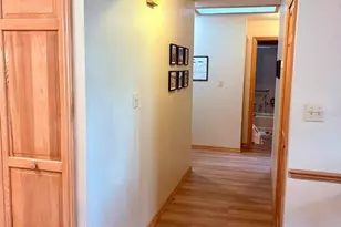 3909 Lake Forest St, Mount Dora, FL 32757 - Photo 12