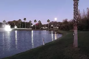 10503 Palm Cove Ave, Tampa, FL 33647 - Photo 24