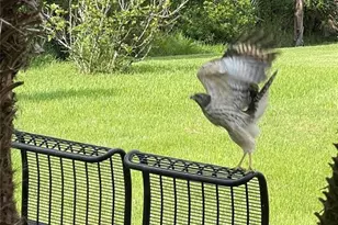 10503 Palm Cove Ave, Tampa, FL 33647 - Photo 68