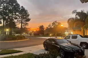 10503 Palm Cove Ave, Tampa, FL 33647 - Photo 12