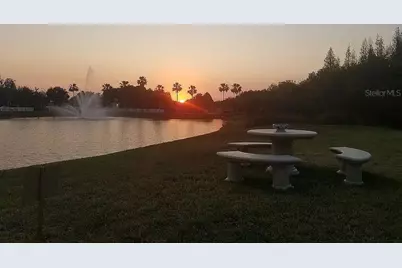 10503 Palm Cove Avenue, Tampa, FL 33647 - Photo 30