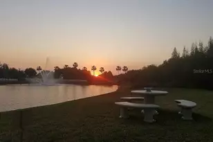 10503 Palm Cove Ave, Tampa, FL 33647 - Photo 30