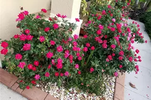 10503 Palm Cove Ave, Tampa, FL 33647 - Photo 54