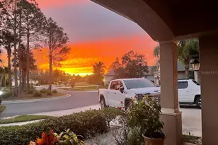 10503 Palm Cove Ave, Tampa, FL 33647 - Photo 6