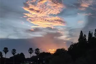 10503 Palm Cove Ave, Tampa, FL 33647 - Photo 78