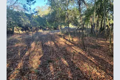 107 Lakeview Way, Interlachen, FL 32148 - Photo 8