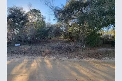 107 Lakeview Way, Interlachen, FL 32148 - Photo 4