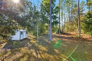 15050 NE 16 Pl, Williston, FL 32696 - Photo 22