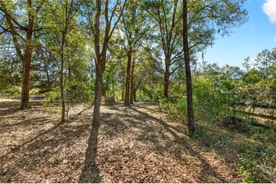 9580 SW 200th Court, Dunnellon, FL 34431 - Photo 40