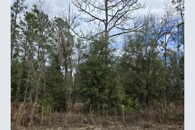 Sw 141st Court, Ocala, FL 34481 - Photo 4