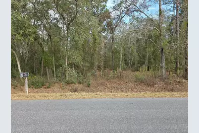 Sw 140th Court, Ocala, FL 34481 - Photo 1