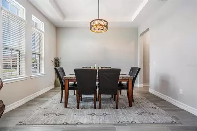 29043 Picana Lane, Wesley Chapel, FL 33543 - Photo 34