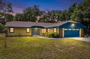 7838 Sloewood Dr, Mount Dora, FL 32757 - Photo 1