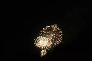 9253 Royal Estates Blvd, Orlando, FL 32836 - Photo 62