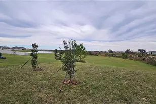 8598 Parsons Hill Blvd, Wesley Chapel, FL 33545 - Photo 2