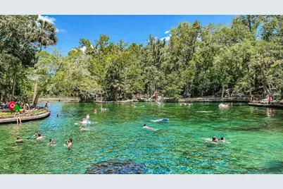 2556 Long Pine Avenue, Apopka, FL 32712 - Photo 24