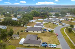 35725 Rose Moss Ave, Leesburg, FL 34788 - Photo 48