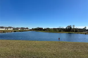 4355 Pebbles Throw Dr, Kissimmee, FL 34746 - Photo 50